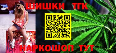 амф Гатчина