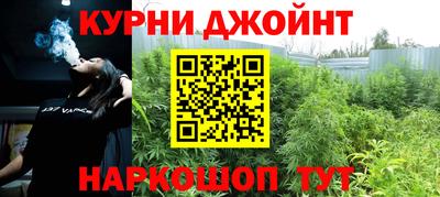 амф Гатчина
