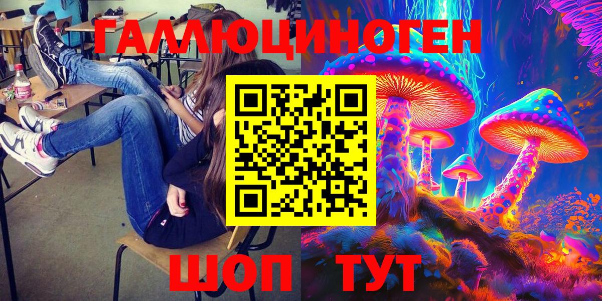 Знаменск  Псилоцибиновые грибы Psilocybe  Вход с VPN 