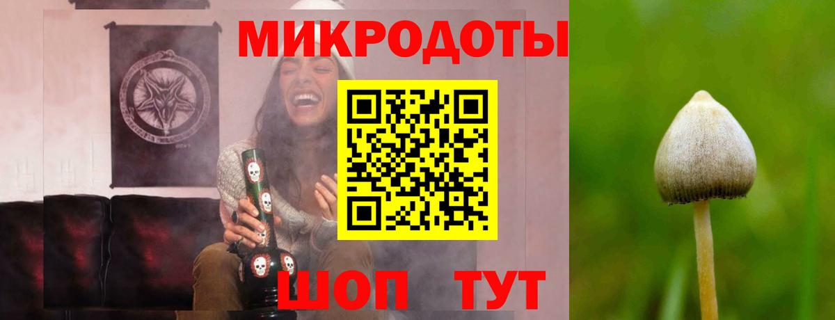 Галлюциногенные грибы MAGIC MUSHROOMS Знаменск